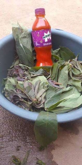 Fresh green leaves piled on a wooden board